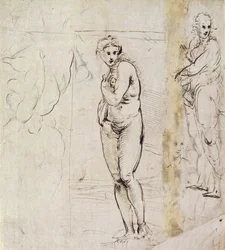 Studie der Venus